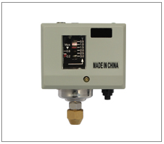 (jng)(j)͉_(ki)P(gun)